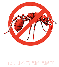 Fire Ant Management